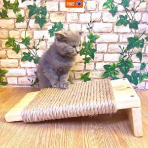 Bàn Cào Móng Cho Mèo Giá Rẻ CT030
