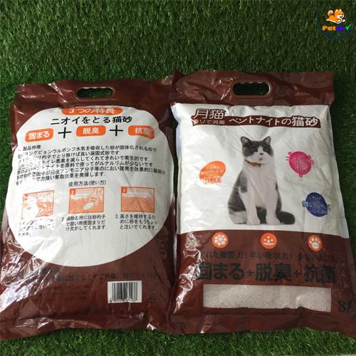 cát nhật vệ sinh cho mèo cô đơn 1