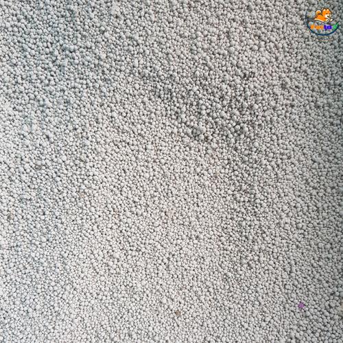 cát nhật vệ sinh cho mèo cô đơn 2