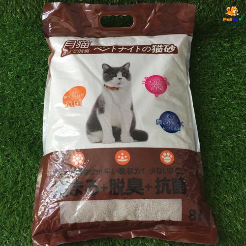 cát nhật vệ sinh cho mèo cô đơn