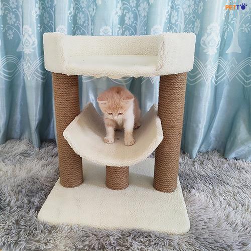 Nhà cây cho mèo CT022 4