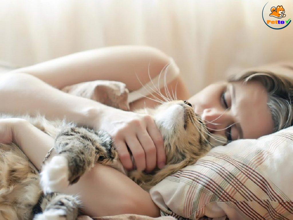 Tiếng kêu của mèo sẽ ru bạn ngủ đấy