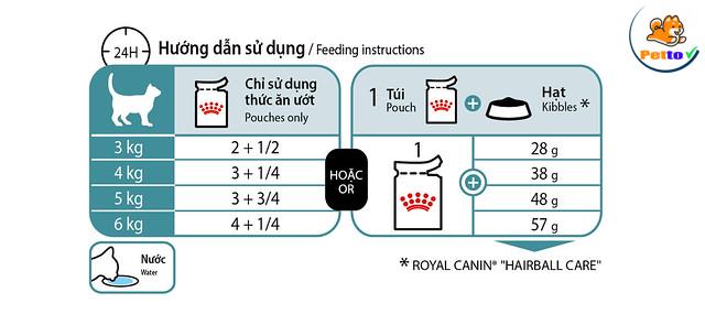 32225538598_28f8138293_z