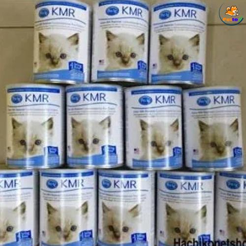 NFC006 - Sữa cho mèo KMR