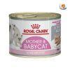 Pate cho mèo Royal Canin Mother & Babycat