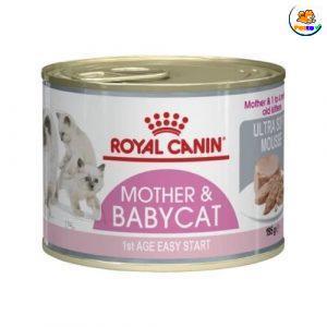 Pate cho mèo Royal Canin Mother & Babycat
