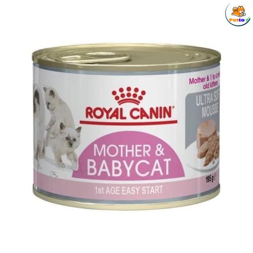 Pate cho mèo Royal Canin Mother & Babycat 195g Từ 1 đến 4 tháng tuổi _1