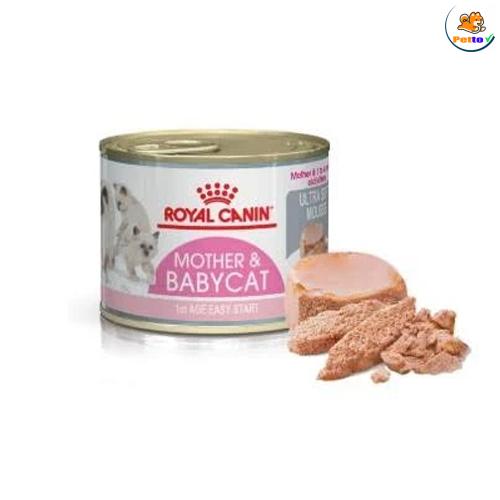 Pate cho mèo Royal Canin Mother & Babycat 195g Từ 1 đến 4 tháng tuổi _2
