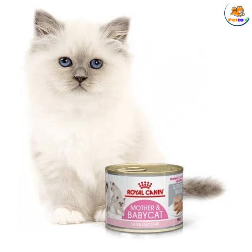 Pate cho mèo Royal Canin Mother & Babycat 195g Từ 1 đến 4 tháng tuổi _3