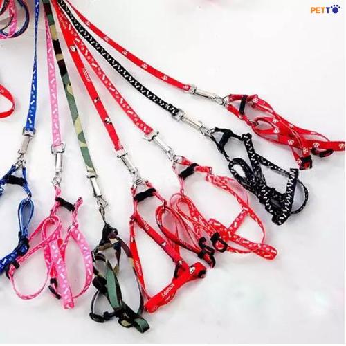 CL007_1 Dây dắt chó mèo kèm yếm _3