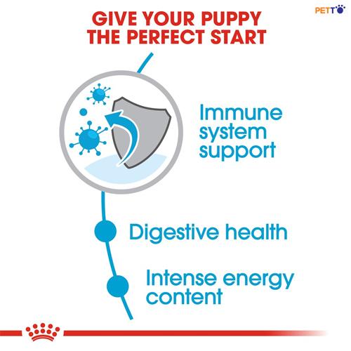 DDF001_800 Thức ăn cho chó Con Royal Canin Mini Puppy 800g _4