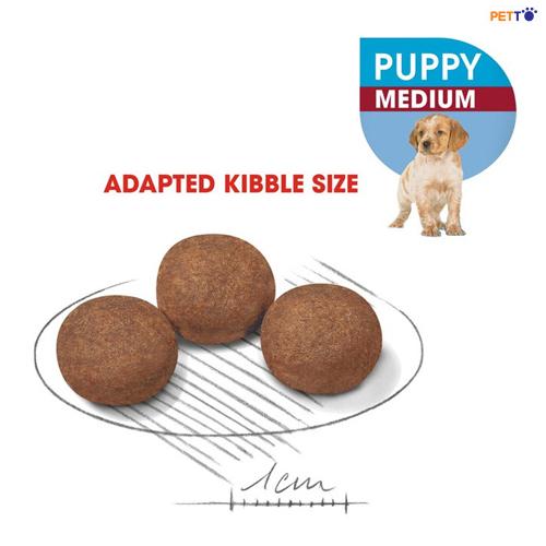 DDF003_1000 Thức ăn cho chó Con Royal Canin Medium Puppy 2