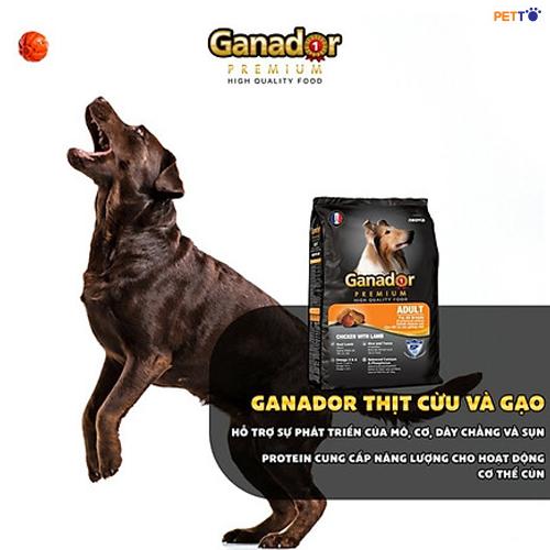 DDF016_400 Thức ăn hạt cho chó trưởng thành Ganador Adult with LAMP & RICE _3