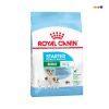 Royal Canin Mini Starter Mother & Baby dog