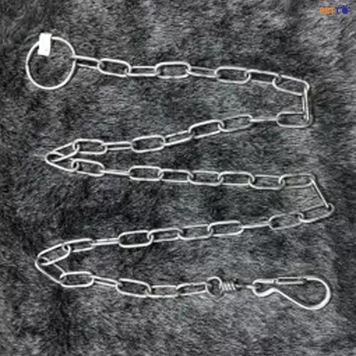 Dây xích inox cho chó 4