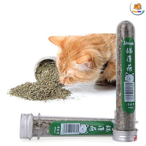 GFC04 - Cỏ bạc hà cho mèo dạng ống _2