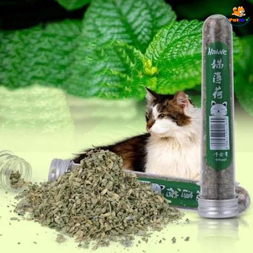 GFC04 - Cỏ bạc hà cho mèo dạng ống _3