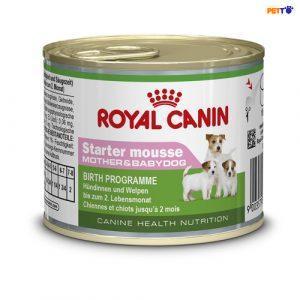 Pate Cho Chó Royal Canin Starter Mousse