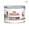 Pate Cho Chó Royal Canin Recovery