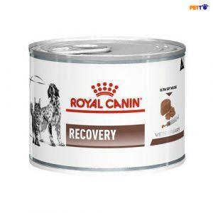 Pate Cho Chó Royal Canin Recovery