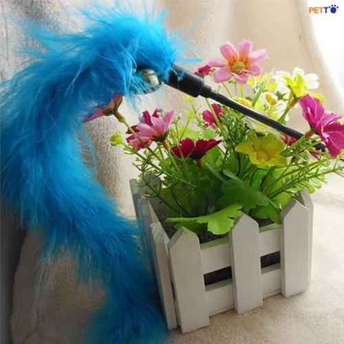 TOC015 Cần câu mèo cán dẻo chuông và lông vũ _6