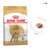 Thức ăn hạt cho chó giống poodle Royal Canin Poodle Adult