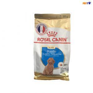 Thức ăn hạt cho chó con giống poodle Royal Canin Poodle Puppy