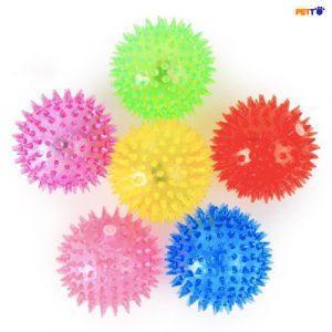 Banh phát sáng cho chó mèo