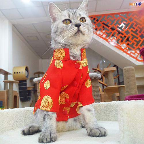 đồ long phụng cho mèo 4