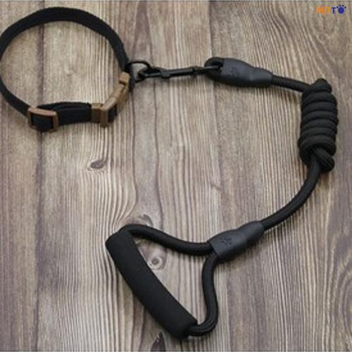 Dây Dắt kèm vòng cổ CL0014