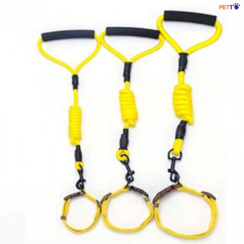 Dây Dắt kèm vòng cổ CL0014