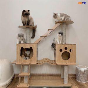 Nha-Cay-Cho-Meo-Co-Cau-Thang-Ch013-1