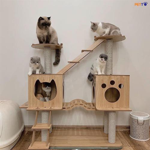 Nha-Cay-Cho-Meo-Co-Cau-Thang-Ch013-1