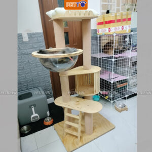 Nhà cây cho mèo PETTO nhiều tầng bằng GỖ có LỒNG KÍNH nhà mèo cao cấp siêu xinh vui chơi thỏa thích CH017 (3)