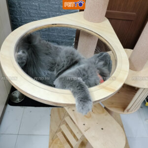 Nhà cây cho mèo PETTO nhiều tầng bằng GỖ có LỒNG KÍNH nhà mèo cao cấp siêu xinh vui chơi thỏa thích CH017 (3)
