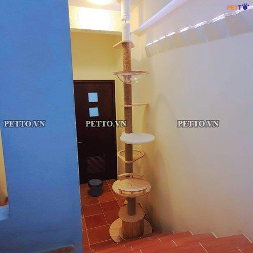 Tháp mèo nhiều tầng kèm lồng kính độc đáo (2)
