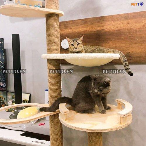 Tháp mèo nhiều tầng kèm lồng kính độc đáo (4)