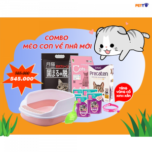 Combo ưu đãi: Dành cho mèo dưới 12 tháng tuổi về nhà mới