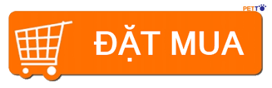 Hình ảnh này chưa có thuộc tính alt; tên tệp của nó là tai-xuong-9.png