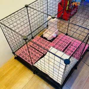 Combo chuồng cho chó mèo - Chuồng ghép sắt cho thú cưng đầy đủ phụ kiện CFP019_1