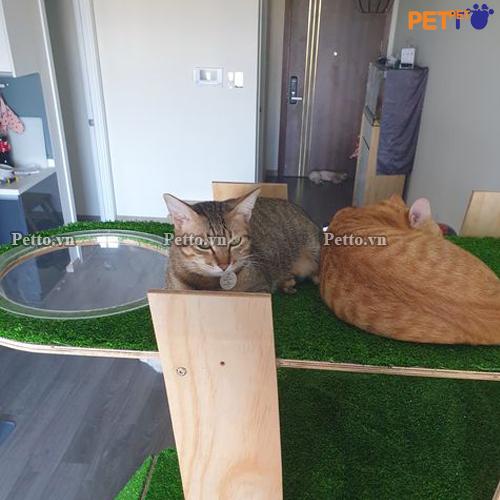 nhà cây cho mèo siêu to CT038 (1)