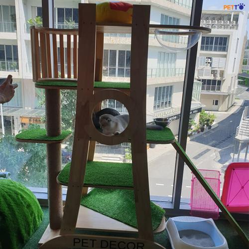 nhà cây cho mèo siêu to CT038