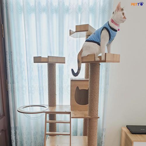 nhà cây cho mèo siêu to khổng lồ 1m8 3