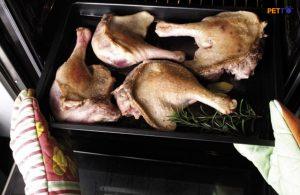 Mèo Ăn Thịt Ngỗng