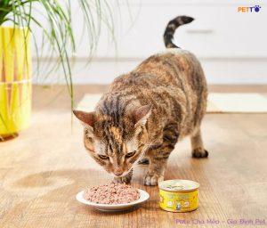 Cách ít người biết để Lựa Chọn Pate Cho Mèo Tốt Nhất