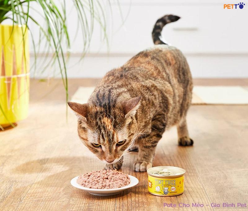 Cách ít người biết để Lựa Chọn Pate Cho Mèo Tốt Nhất