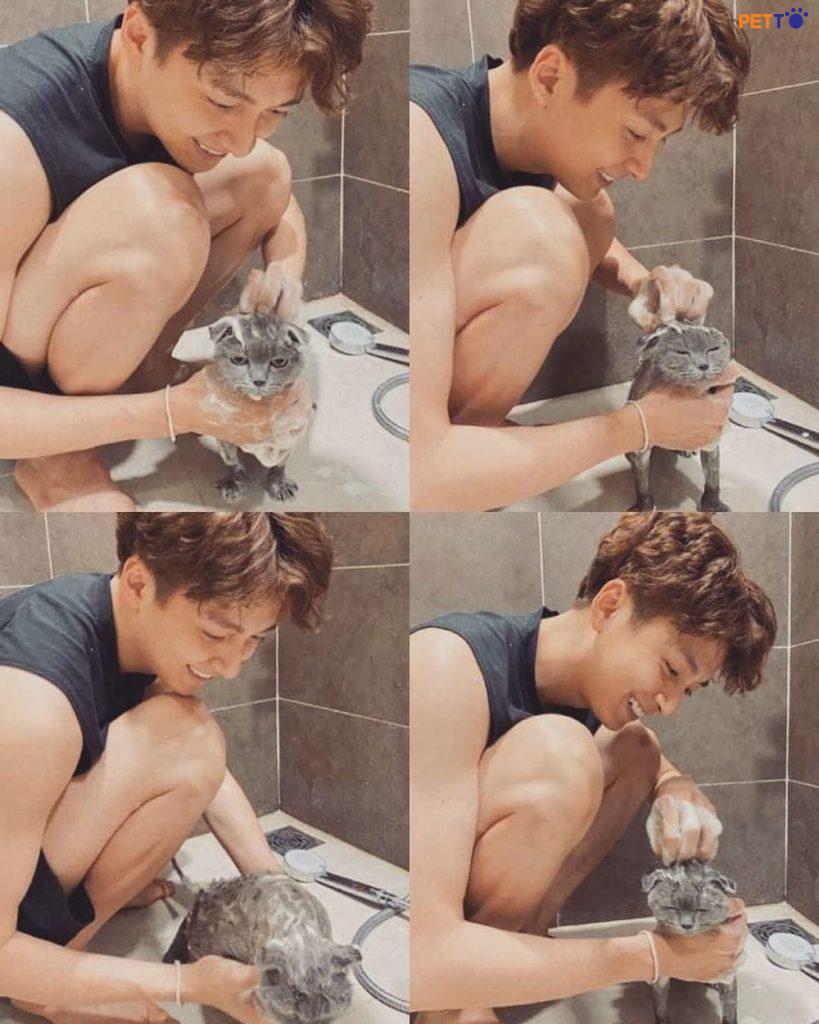 Ngô Kiến Huy dành thời gian chăm sóc chú mèo Yuumi của mình