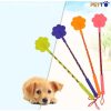 Gậy tét mông cho chó mèo hư hỏng - Gậy huấn luyện chó mèo