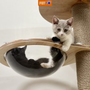 Nhà cây cho mèo khổng lồ KÈM LỒNG KÍNH, BAN CÔNG độc đáo nhiều đồ chơi CT045