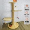 Cat tree - Trụ cào móng bằng gỗ nhiều tầng PETTO độc đáo sử dụng thảm POLY có độ bền cao CT046